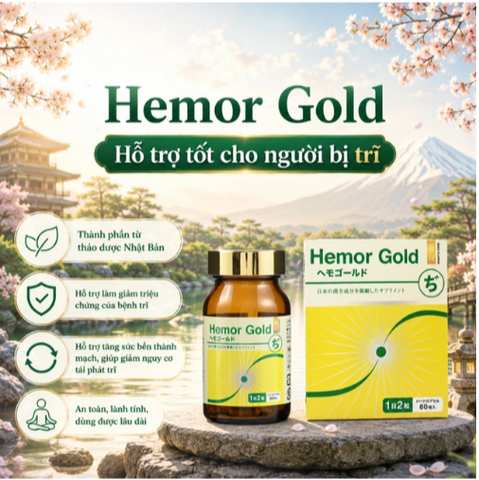 Viên uống hỗ trợ tốt cho người bị trĩ Hemor Gold Jpanwell (60 viên)