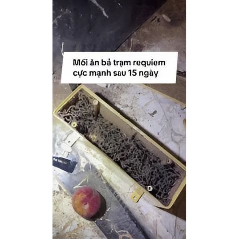 Bả diệt mối sinh học cao cấp REQUIEM 1RB 200g + 1 HỘP TRẠM nhập Hoa Kỳ, lây truyền diệt gốc tổ mối 4–6 tuần,mối ăn bã