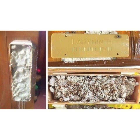 Bả diệt mối sinh học cao cấp REQUIEM 1RB 200g + 1 HỘP TRẠM nhập Hoa Kỳ, lây truyền diệt gốc tổ mối 4–6 tuần,mối ăn bã