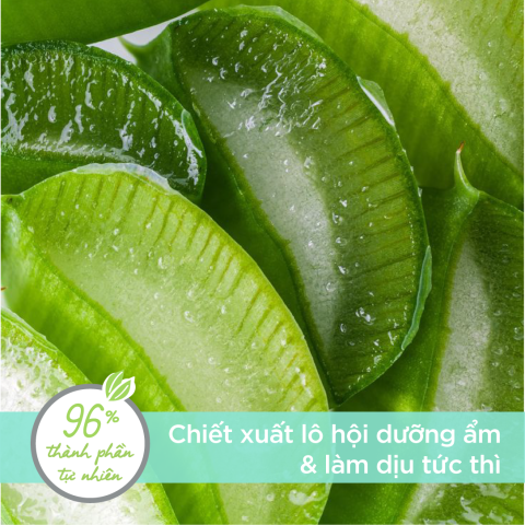 Gel tắm chiết xuất lô hội - Corine de Farme Essential Aloe Vera Shower Gel 750ml
