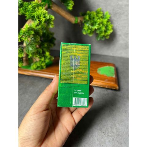 Dầu gió xanh dạng lăn 5ml