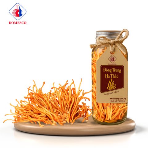 Đông Trùng Hạ Thảo sấy khô chai 6g