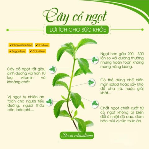 Đường Ăn Kiêng Ít Năng Lượng Herbal Sweet Domesco 50 gói