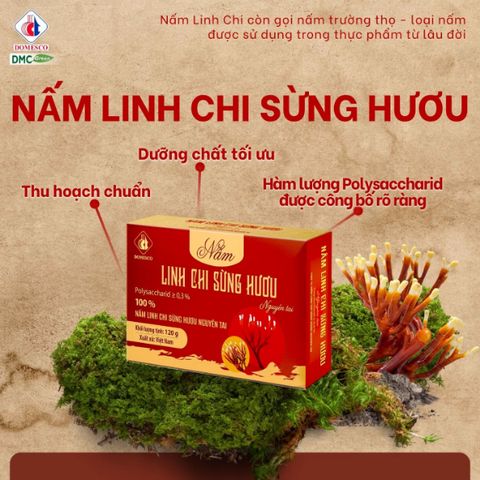 Nấm Linh Chi Sừng Hươu Domesco Nguyên tai Polysaccharid ≥0,3% Hộp 120g