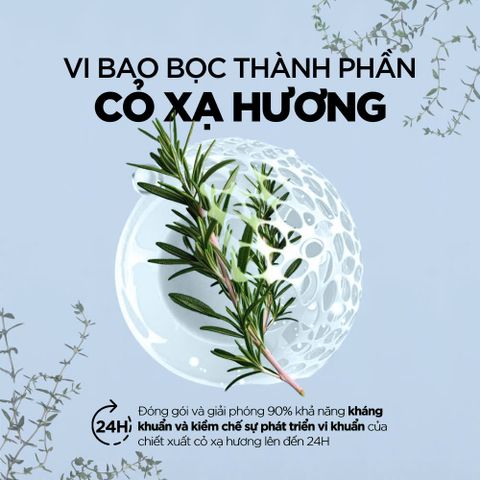 Dung Dịch Vệ Sinh ROGÉ CAVAILLÈS Anti-Bacterien - Ngăn Mùi Ngừa Khuẩn 12H, Chống Viêm, Bảo Vệ Toàn Diện 250ml