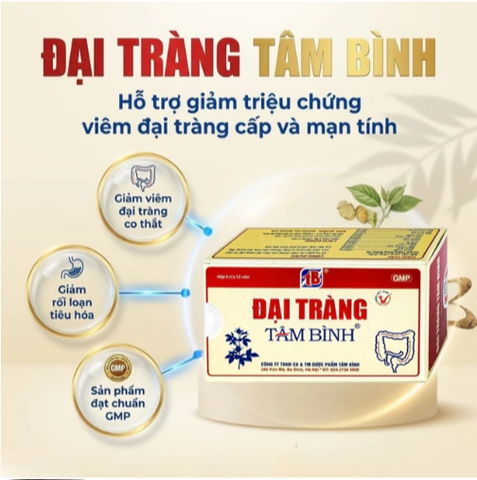 Viên giảm viêm đại tràng cấp và mãn tính Đại Tràng Tâm Bình (5 vỉ x 12 viên)