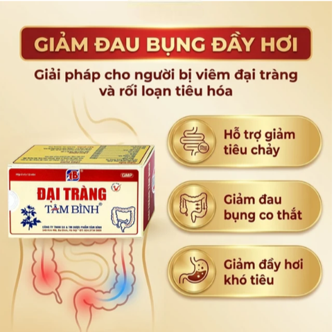 Viên giảm viêm đại tràng cấp và mãn tính Đại Tràng Tâm Bình (5 vỉ x 12 viên)