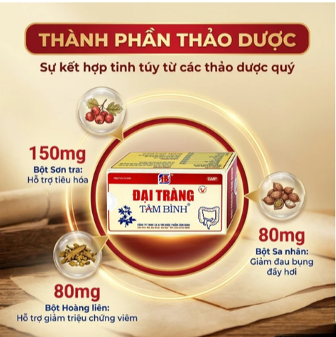Viên giảm viêm đại tràng cấp và mãn tính Đại Tràng Tâm Bình (5 vỉ x 12 viên)