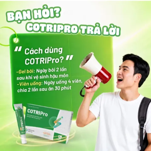 Viên uống bền thành mạch giảm trĩ Cotripro Thái Minh (2 vỉ x 10 viên)
