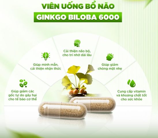 [Hàng nhập khẩu] Viên uống bổ não Healthy Care Ginkgo Biloba 6000mg - Tăng cường trí nhớ, giảm căng thẳng, hỗ trợ tuần hoàn máu, 60 viên