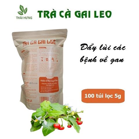 Trà Cà Gai Leo THÁI HƯNG Hạ men gan, mỡ gan, xóa mụn nhọt mẩn ngứa - Bịch 100 túi lọc 5g