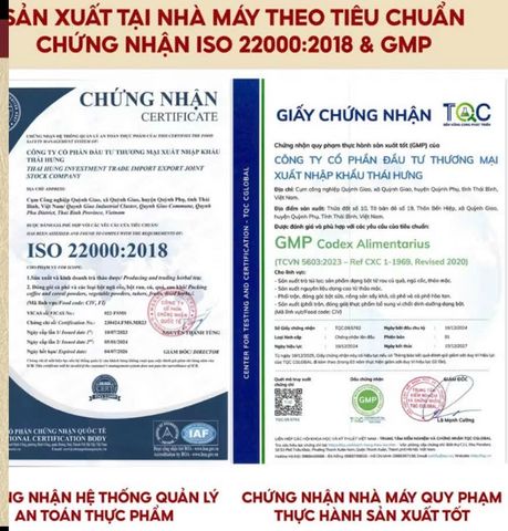 Trà Cà Gai Leo THÁI HƯNG Hạ men gan, mỡ gan, xóa mụn nhọt mẩn ngứa - Bịch 100 túi lọc 5g