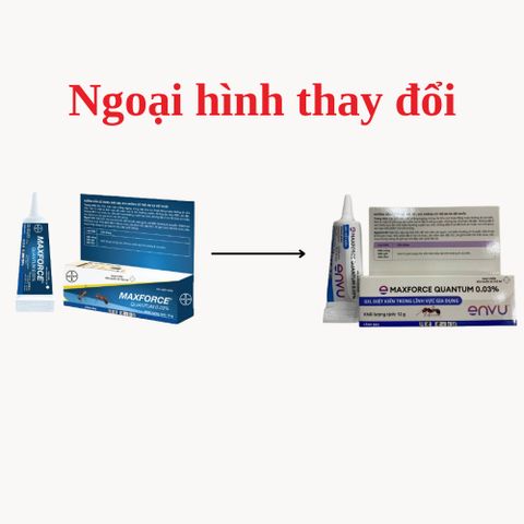 Gel diệt kiến MAXFORCE QUANTUM 0.03%, hiệu quả diệt kiến phổ biến, sản phẩm BAYER, tuýp 12g 779572