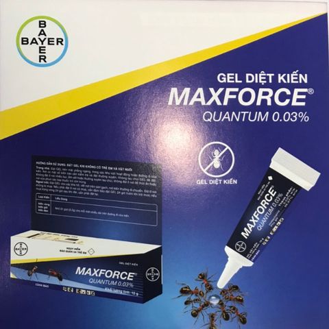 Gel diệt kiến MAXFORCE QUANTUM 0.03%, hiệu quả diệt kiến phổ biến, sản phẩm BAYER, tuýp 12g 779572