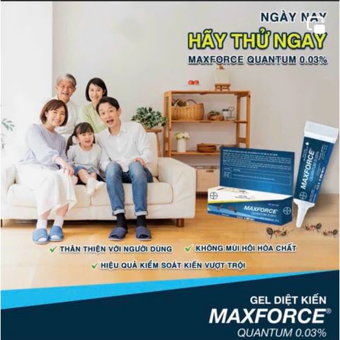 Gel diệt kiến MAXFORCE QUANTUM 0.03%, hiệu quả diệt kiến phổ biến, sản phẩm BAYER, tuýp 12g 779572