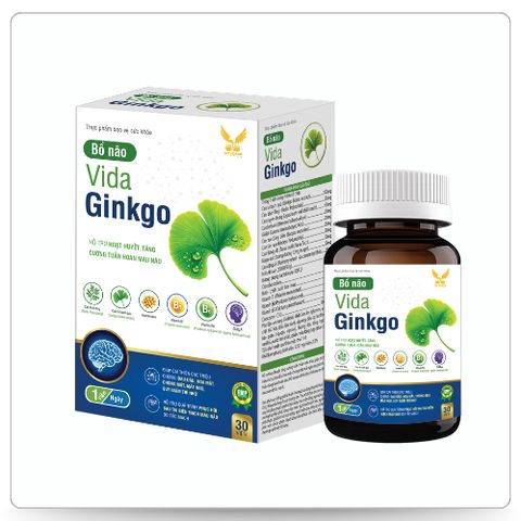 [TPBVSK] VIDA GINGKO - Viên uống hỗ trợ hoạt huyết (Hộp 30 viên)