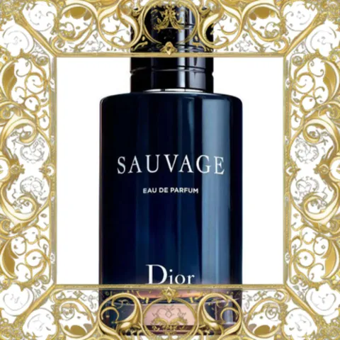 (Loại Tốt) Combo Dior Nước Hoa Sauvage Edp 100ml & Son Dior Rouge 844 Trafalgar Bộ Quà Tặng Sang Trọng Dành Cho Phái Đẹp Chính Hãng