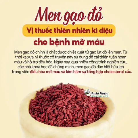 Viên Uống Sarafine Fujina - Hỗ Trợ Giảm Mỡ Máu, Kiểm Soát Cholesterol, Bảo Vệ Tim Mạch - Hộp 80 Viên Nhật Bản