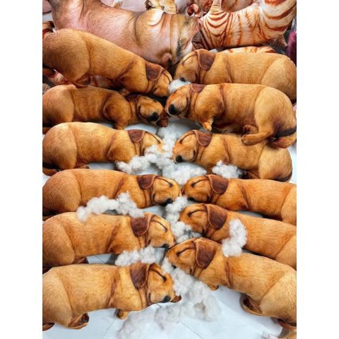 Thú nhồi bông hình heo (lợn), cún và mèo