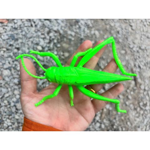 Đồ chơi nhựa - Mô hình Côn trùng nhựa