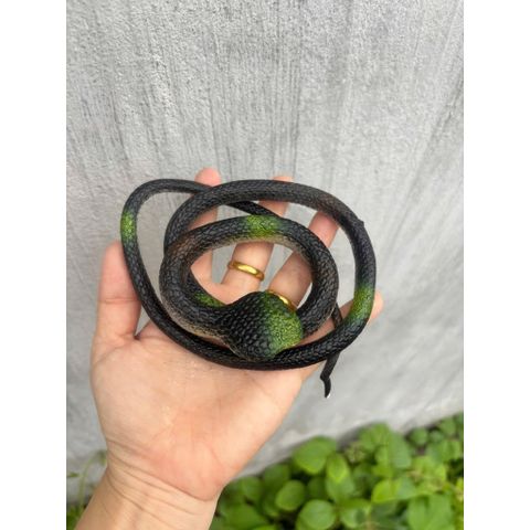 Rắn nhựa giả 75cm - Đồ chơi nhựa giả