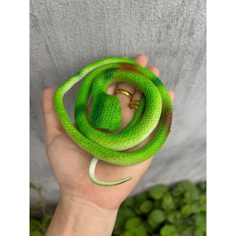 Rắn nhựa giả 75cm - Đồ chơi nhựa giả