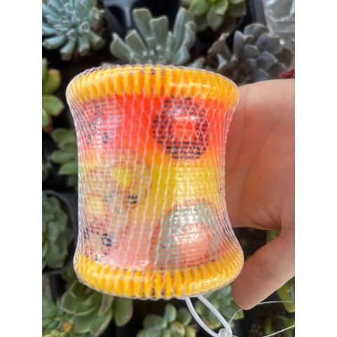 Đồ chơi nhựa- Lò xo ma thuật có hoa văn cực vui nhộn