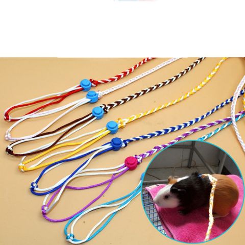 Dây dắt lụa mềm mịn cho chuột hamster, sóc, nhím, thỏ, bọ (60 màu tha hồ lựa)