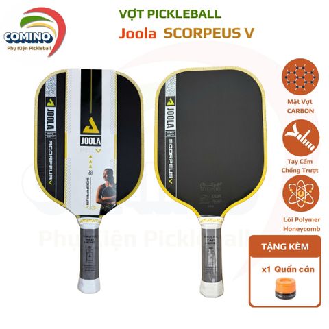 Vợt Pickleball Joola SCORPEUS Pro V, gen 5,mặt nhám carbon, bản 16mm
