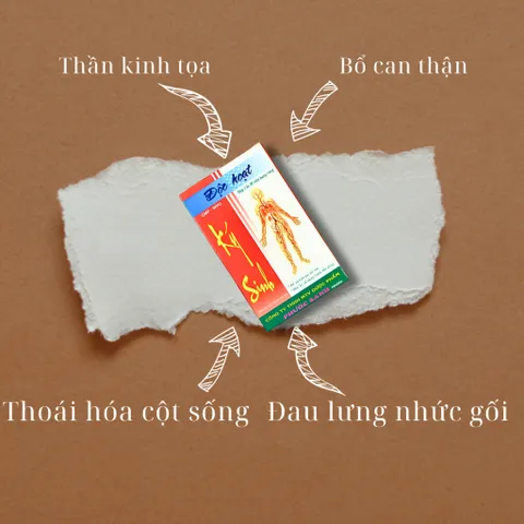 Độc Hoạt Ký Sinh Phước Sanh Pharma