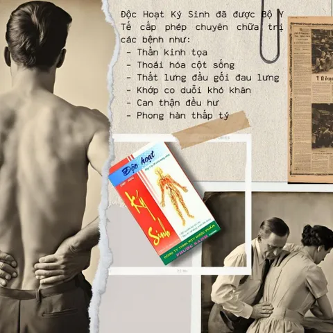 Độc Hoạt Ký Sinh Phước Sanh Pharma