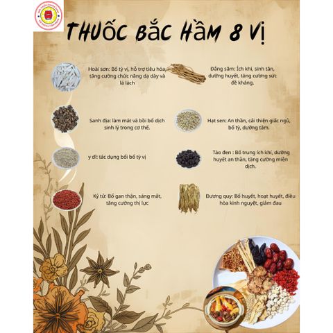 Thang Hầm Gà/Thịt 8 - 10 Vị Hàng Cao Cấp Chất Lượng Cao