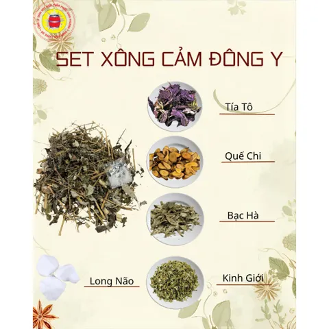 SET XÔNG THẢO DƯỢC GIẢI CẢM ĐÔNG Y PHƯỚC SANH PHARMA
