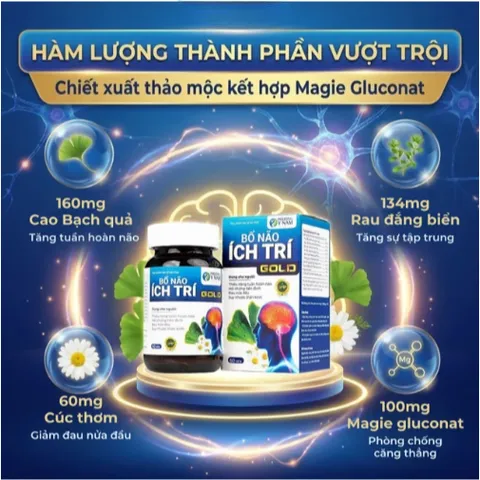 Viên uống tăng cường tuần hoàn não, giảm rối loạn tiền đình Bổ Não Ích Trí Gold (60 viên)