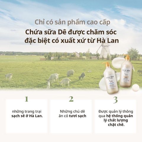 Sữa tắm sữa dê Shower Mate Goat Milk Hàn Quốc dưỡng ẩm, dưỡng trắng kháng khuẩn 800ml