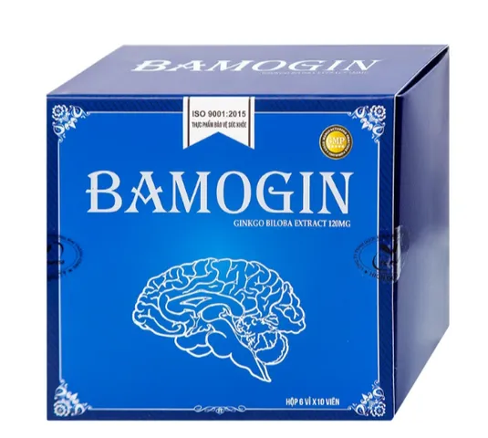 Viên uống tăng cường tuần hoàn não, cải thiện trí nhớ Bamogin Thành Công (6 vỉ x 10 viên)