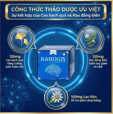 Viên uống tăng cường tuần hoàn não, cải thiện trí nhớ Bamogin Thành Công (6 vỉ x 10 viên)