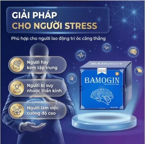 Viên uống tăng cường tuần hoàn não, cải thiện trí nhớ Bamogin Thành Công (6 vỉ x 10 viên)