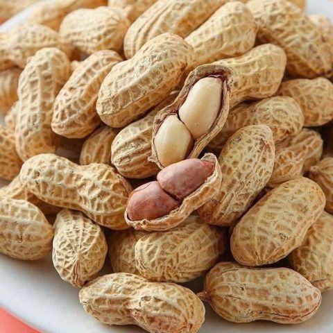 Lạc Củ Sấy Húng Lìu 400g - Đậu Phộng Củ Sấy Khô Thơm Giòn Bùi Vị Truyền Thống Đóng Túi Zip Ăn Vặt Tiện Lợi