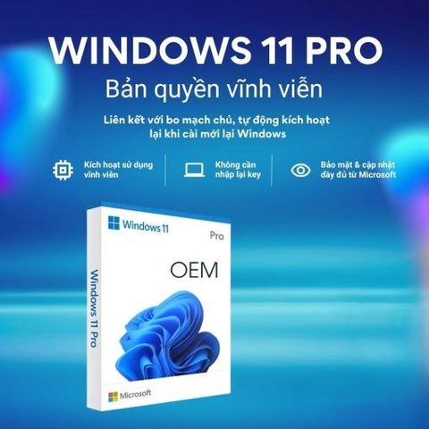 Key Tài Khoản Bản QUyền Win 10/11 Pro OEM  Online 1PC