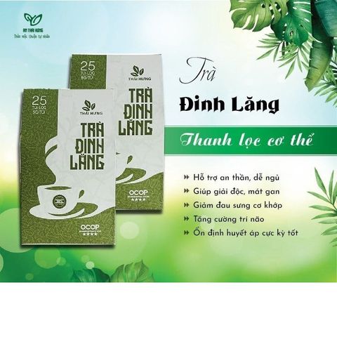 Trà Đinh lăng THÁI HƯNG - Hộp 25 túi lọc 5g - An thần, ngủ ngon, giảm stress