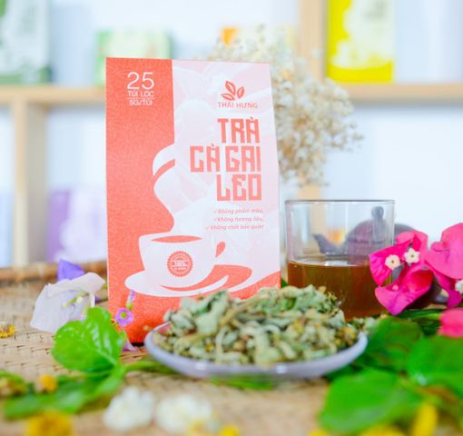 Trà Cà Gai Leo THÁI HƯNG  - Hộp 25 túi lọc 5g Giải độc gan, mát gan, hạ men gan, mỡ gan