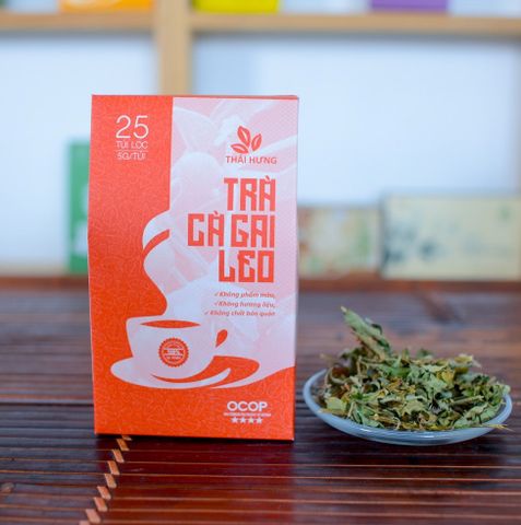 Trà Cà Gai Leo THÁI HƯNG  - Hộp 25 túi lọc 5g Giải độc gan, mát gan, hạ men gan, mỡ gan