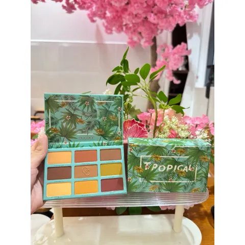 Combo 3 palette “all-in-one” siêu tiện: mắt – má – highlight đủ cả trong một em 💚 786264
