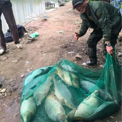 CHÉP MỘT CHAI QUẾ HOA TỬU