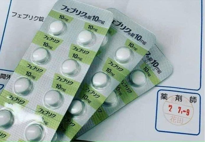 Viên uống hỗ trợ Gút Feburic 10mg Nhật Bản 10 vỉ x 10 viên
