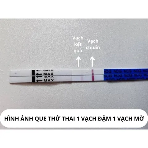 BỘ KIỂM TRA SỨC KHỎE QT