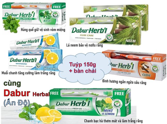 Kem đánh răng thảo dược Ân Độ Dabur's Herbal 150g kèm bàn chải đánh răng