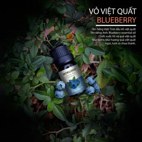 Bộ 10 Chai Tinh Dầu Thơm MOKUJIKO Favorite Fruit, hương trái cây tự nhiên, khử mùi 788813