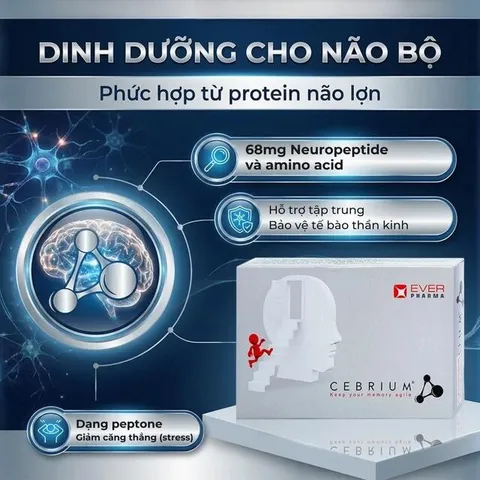 Viên hỗ trợ tăng khả năng tập trung Cebrium Ever Pharma (3 vỉ x 10 viên)